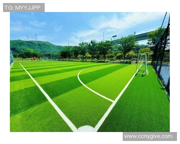 足球迷与球星的情感纽带如何影响球场表现与粉丝文化的发展